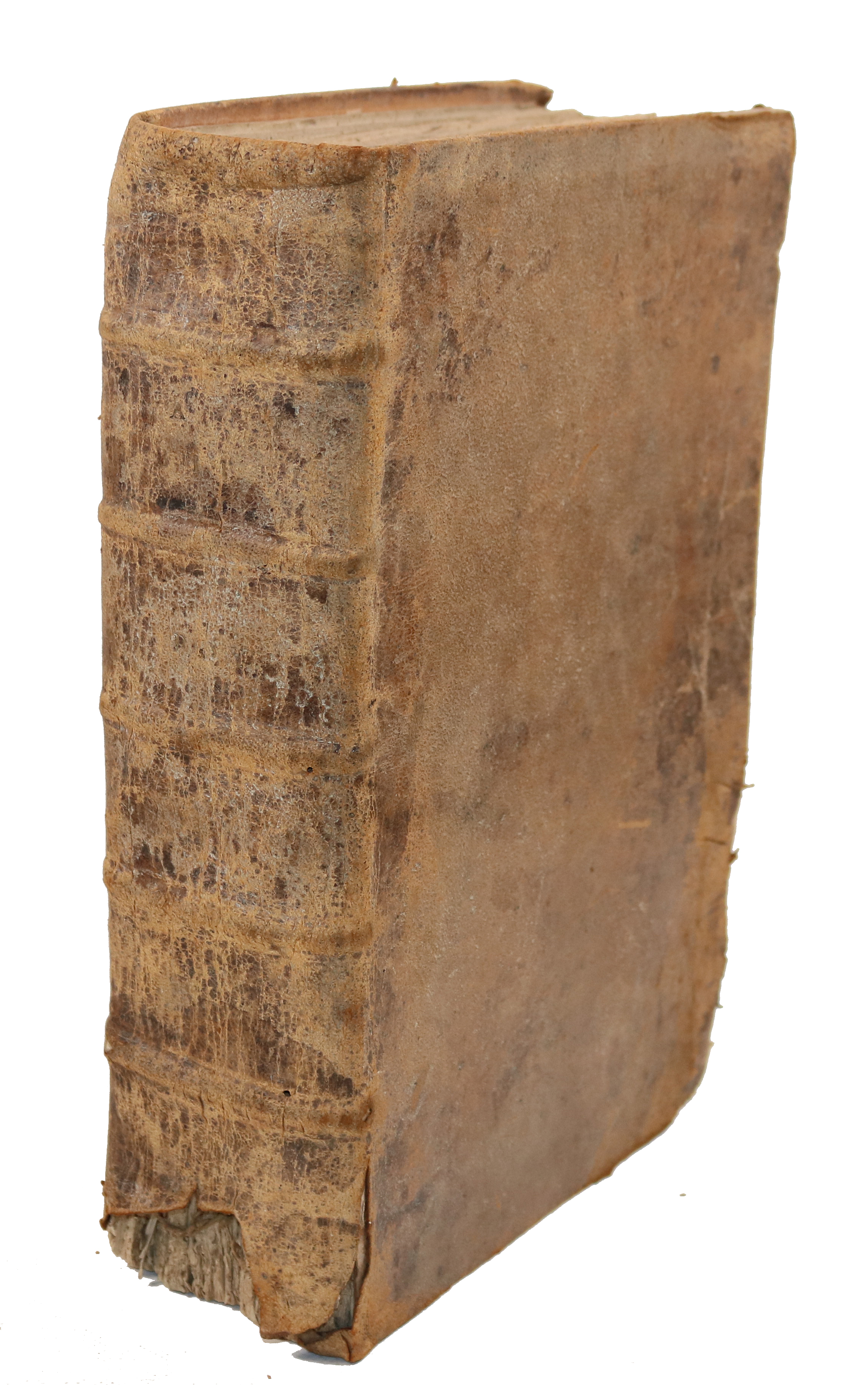 Biblia gallica. | Bild Nr.1